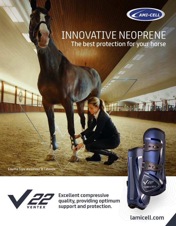 BANNERS-LAMICELL-V22-700-x-900