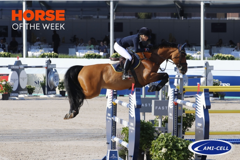 Horse of the week: Stockholm