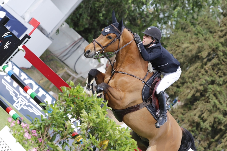 Horse of the week: Madrid