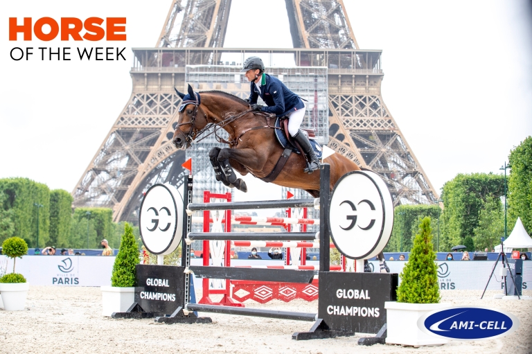 Horse of the week: Paris