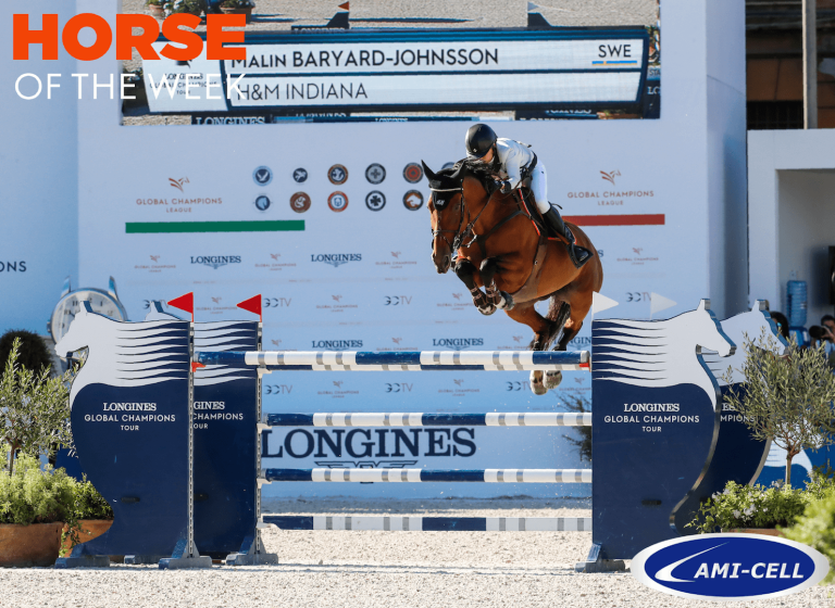 Horse of the week: Rome