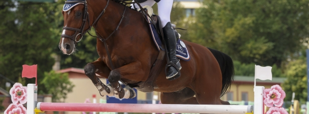 Rome GCL Competition Suspended Due to Adverse Weather