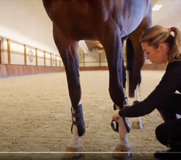 Lami-Cell Ventex 22: protection and wellbeing of your horse
