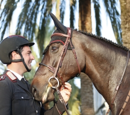 Gallery: Horse and Rider Connection