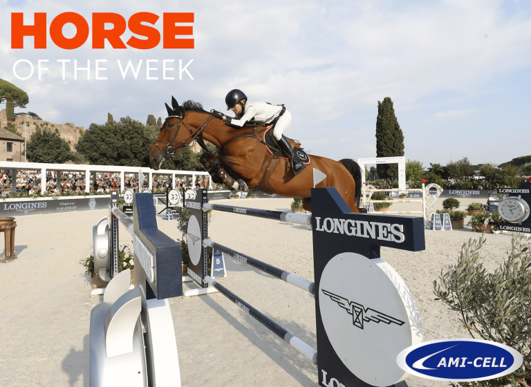 Horse of the week: Rome