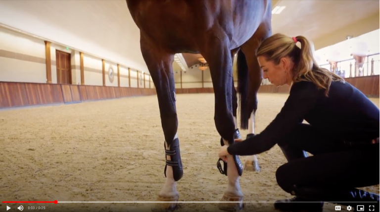 Lami-Cell Ventex 22: protection and wellbeing of your horse