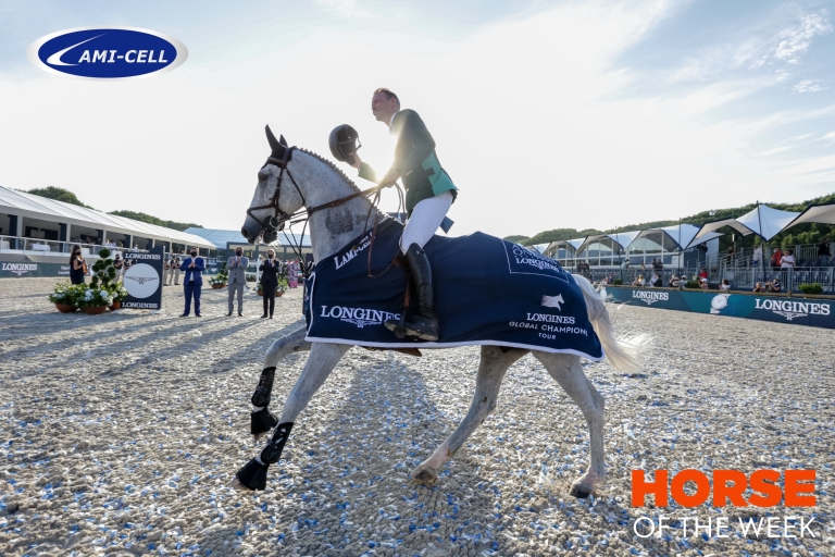 Horse of the week: Ramatuelle / Saint-Tropez