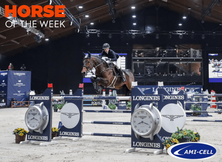 Horse of the week: Šamorín