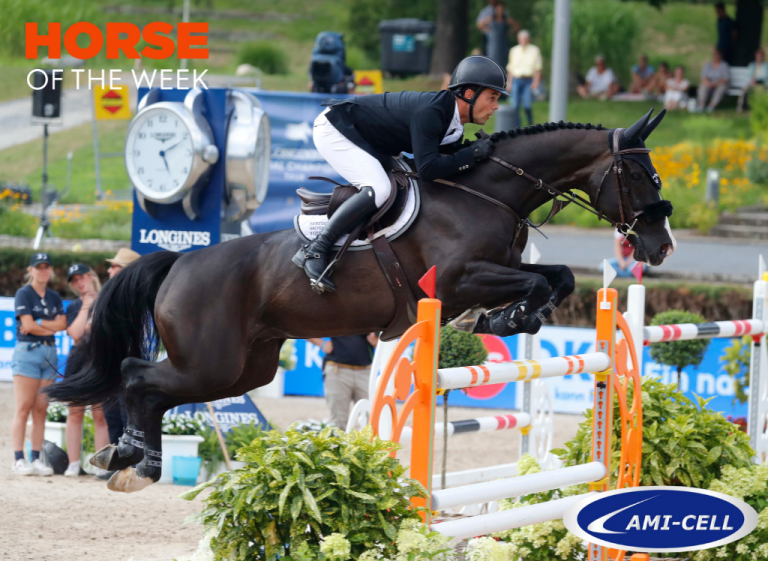 Horse of the week: Berlin