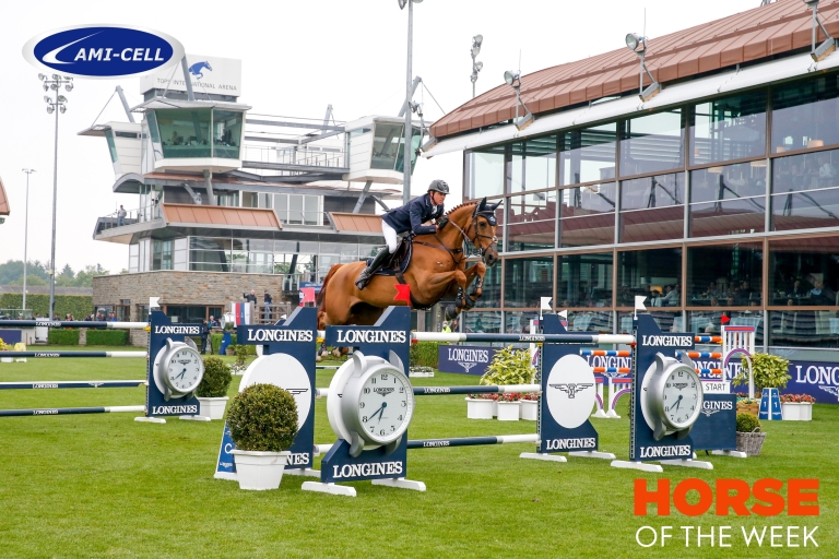 Horse of the week: Valkenswaard