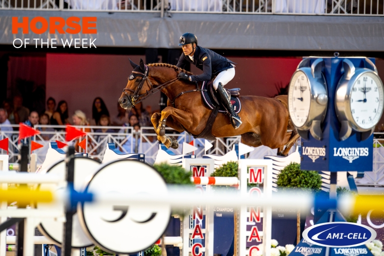 Horse of the week: Monaco