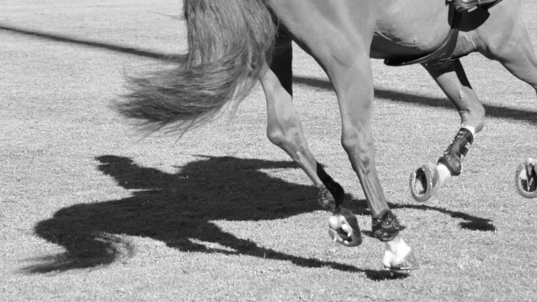 New LGCT & GCL Partnership Confirmed