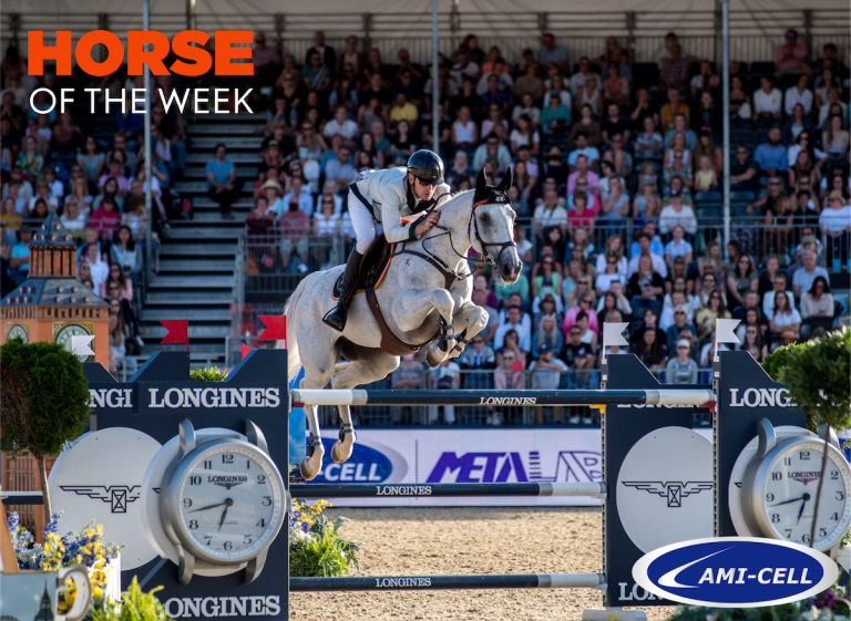 Horse of the week: London