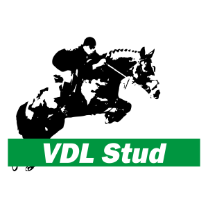 website_vdl_stud.png