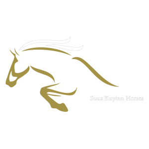 website_suus_kuyten_horse.png